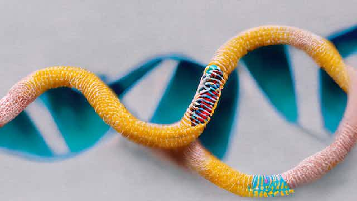 CI Photos/Shutterstock