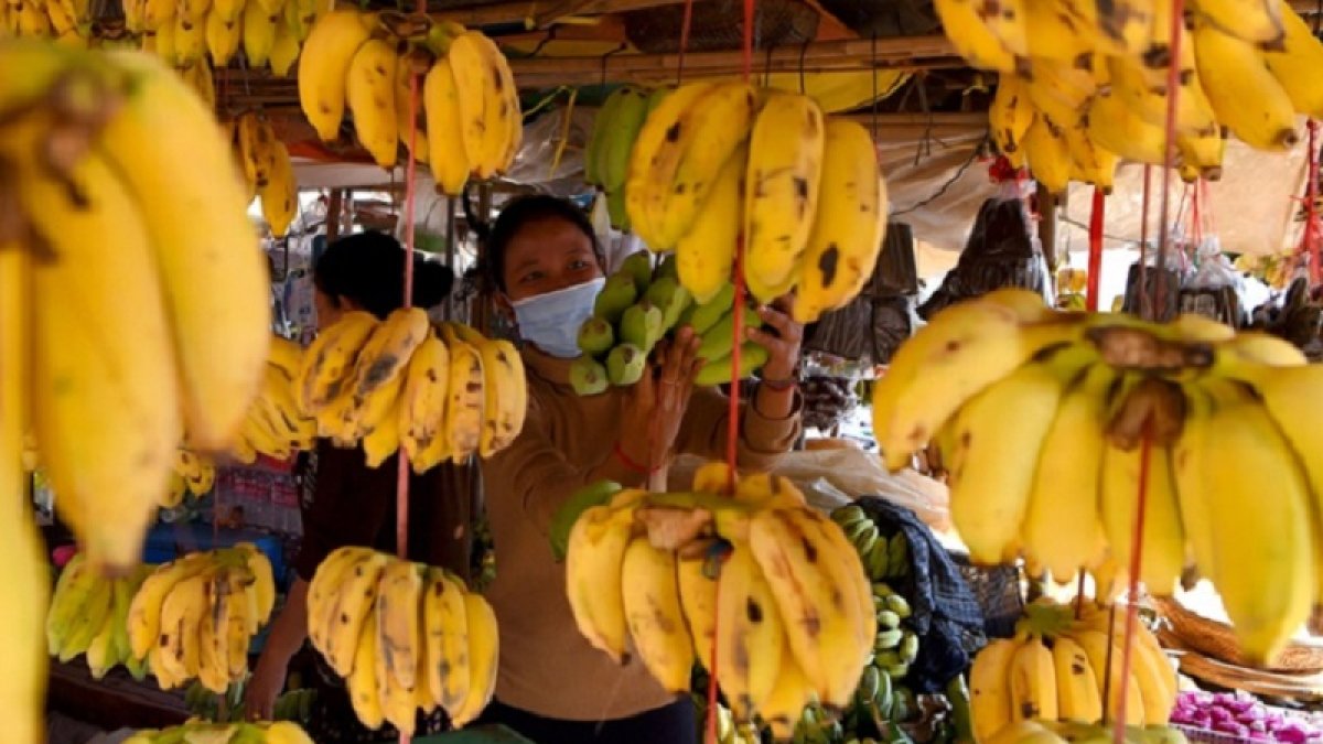 Tang Chhin Sothy (FAO)