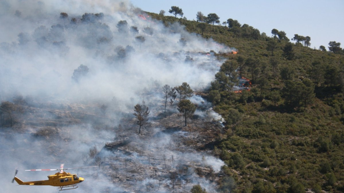 Lucha contra el fuego por parte de los efectivos del Plan INFOCA