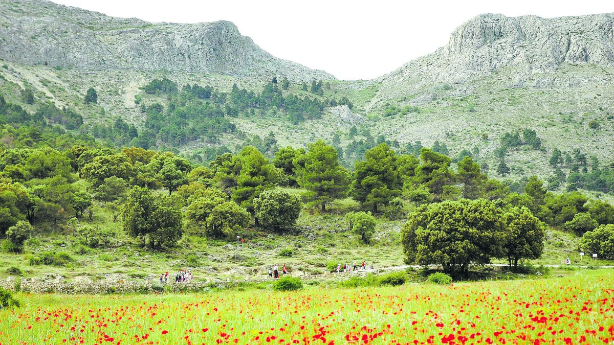 Entorno de la Sierra de María donde ayer descargaron las tormentas