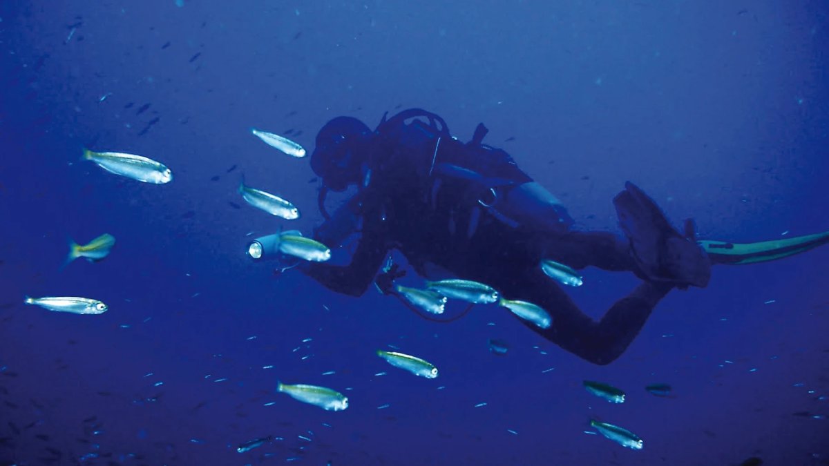 Imagen de archivo de una persona practicando el submarinismo.