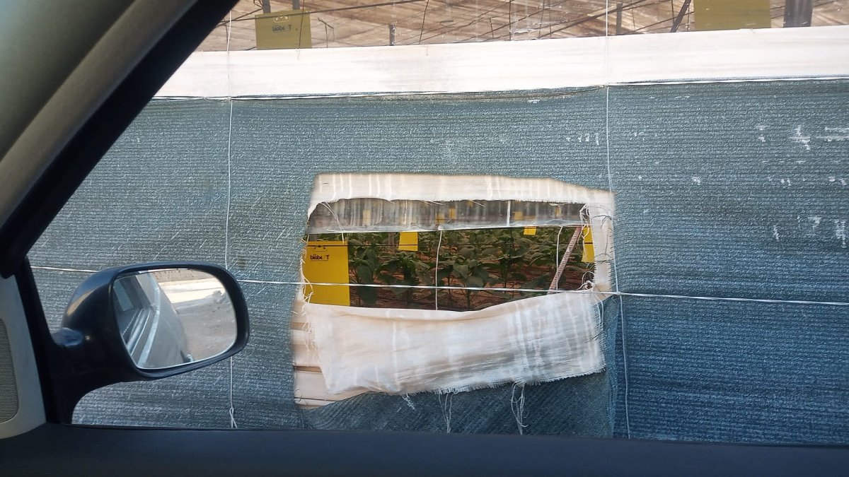 Butrón realizado en un invernadero de Almería.