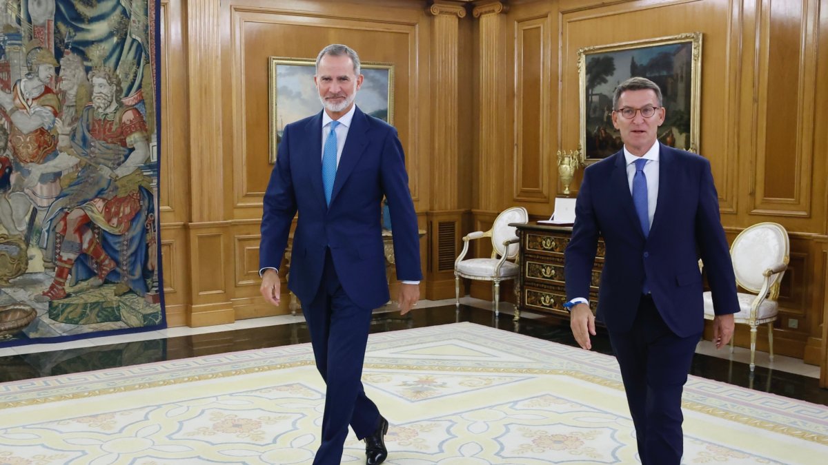 El Rey Felipe VI recibe al líder del PP, Alberto Núñez Feijóo.