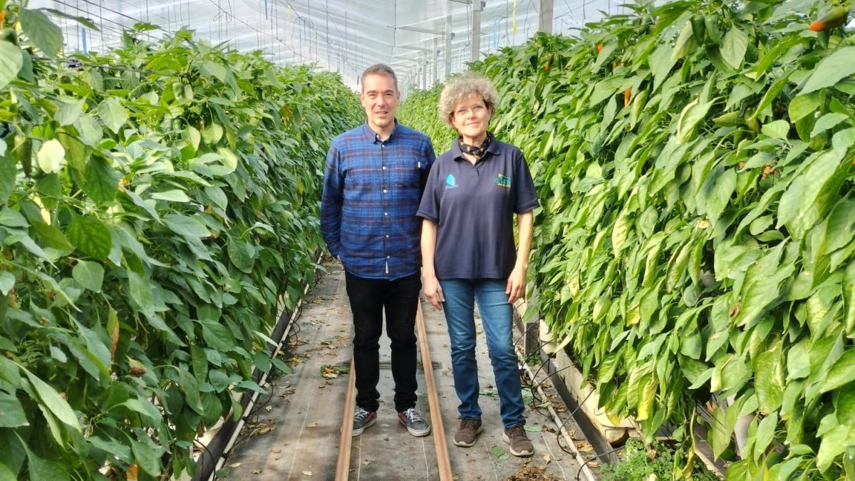 Javier Martínez, autor de la tesis, y Lola Gómez Ferrón en un invernadero.