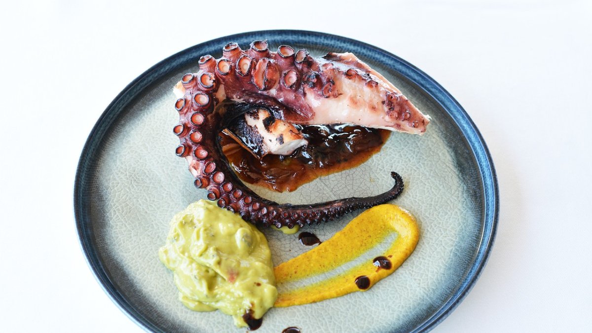 Pulpo para almorzar.