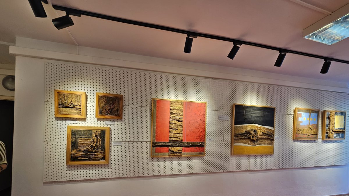 Imagenes de la sala de exposiciones temporales que está abierta al público.