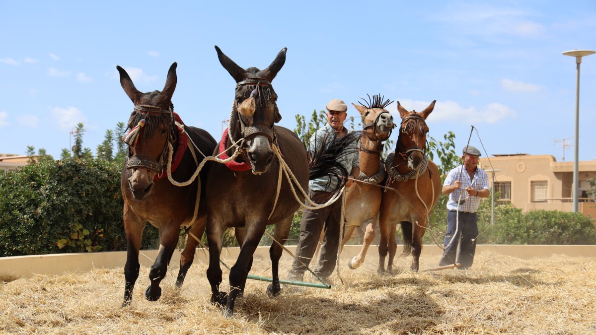 Décima edición del Encuentro de la Trilla.