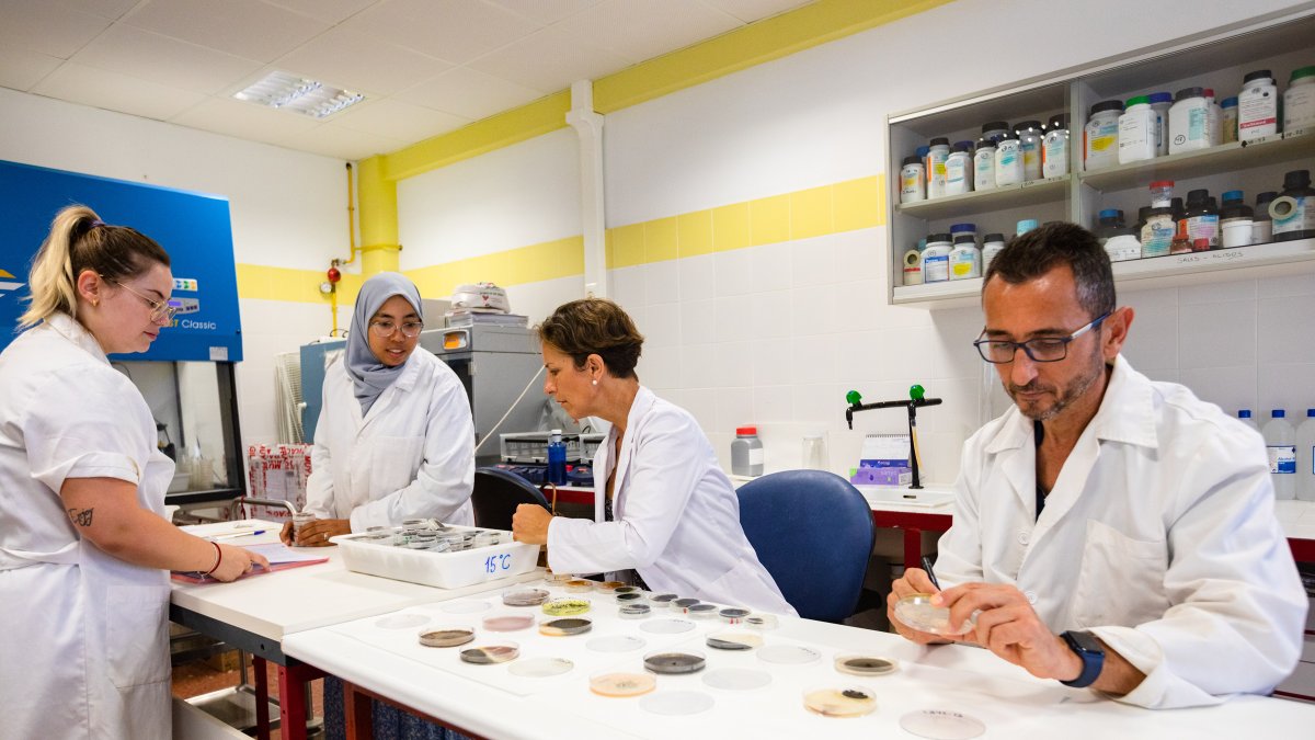 El equipo de MIla Santos y Fernando Diánez