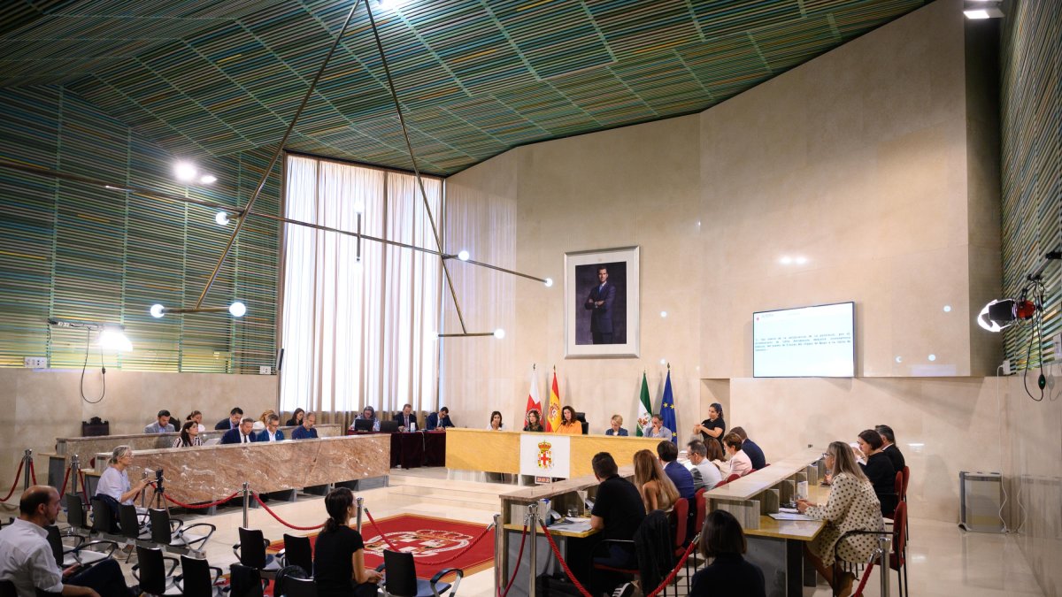 Vista general de la sesión plenaria