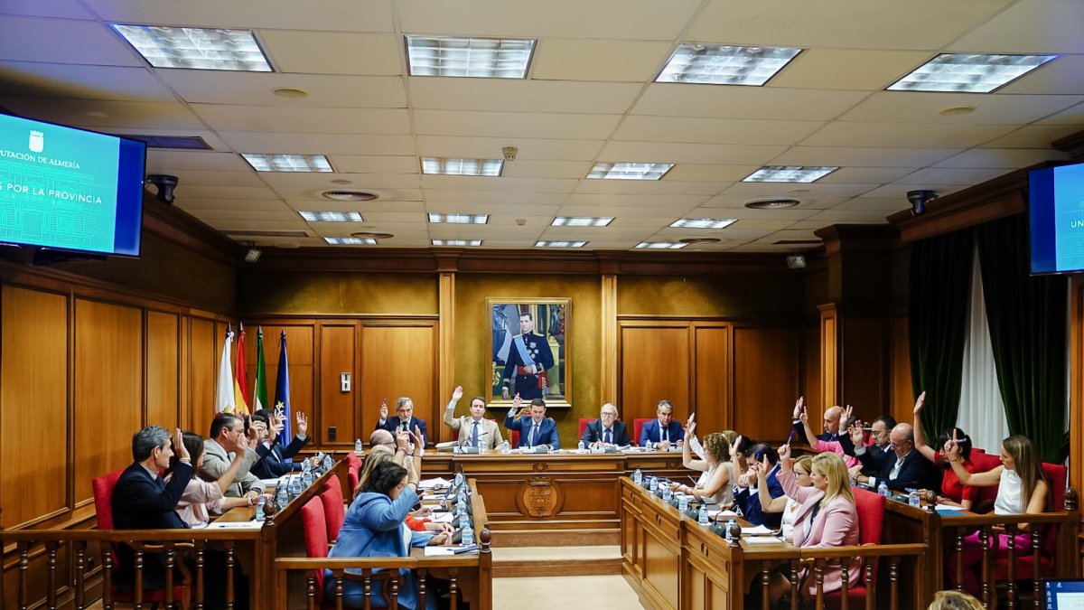 Pleno de este viernes en la Diputación Provincial.