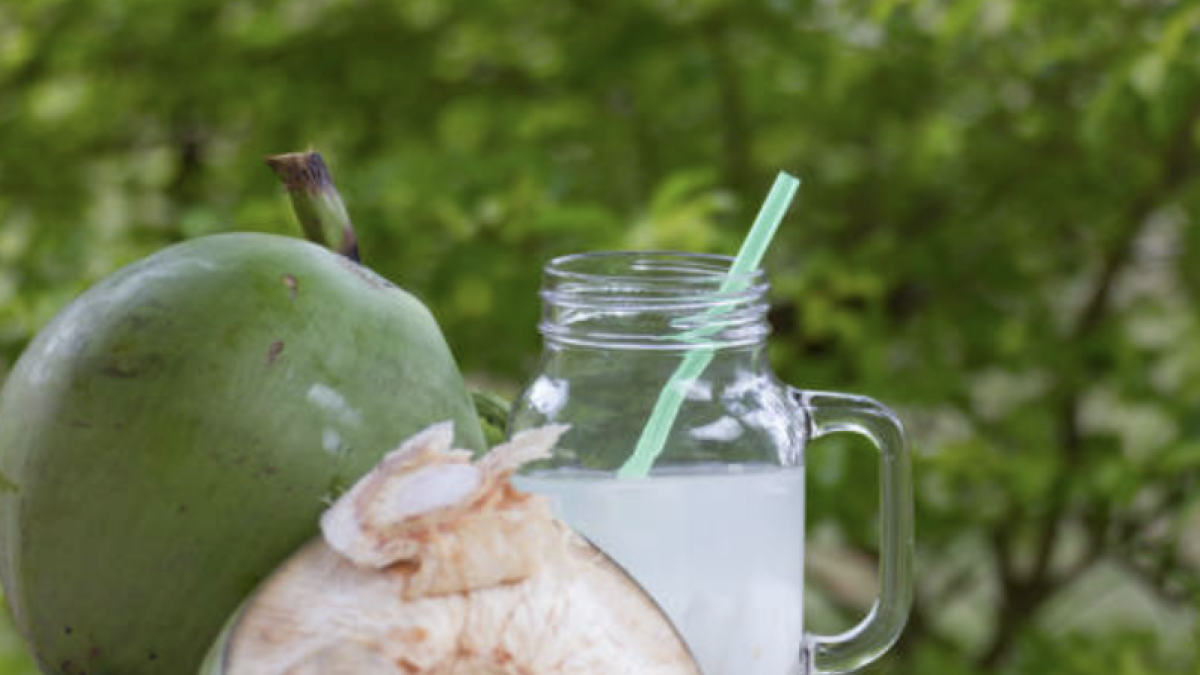 Agua de coco, múltiples beneficios para tu salud
