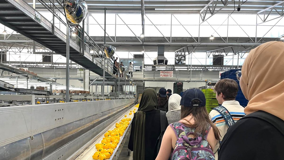 Visita IES Pablo Ruiz Picasso de El Ejido a CABASC, S.C.A.