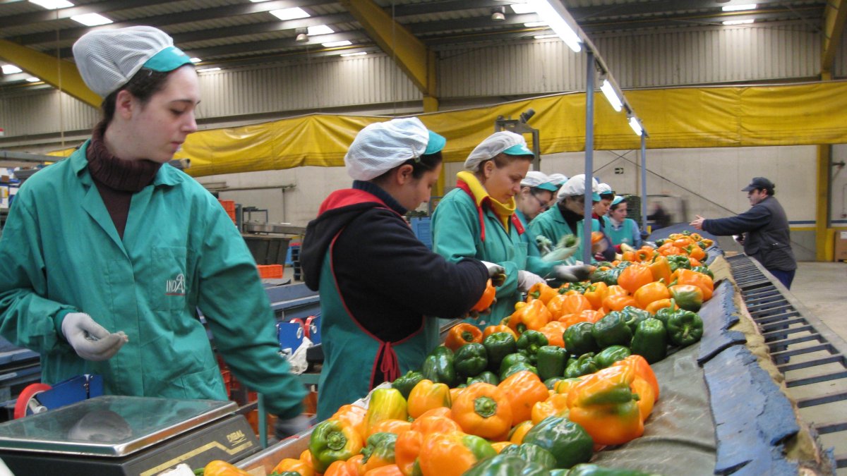 Un almacén agrícola de la provincia.