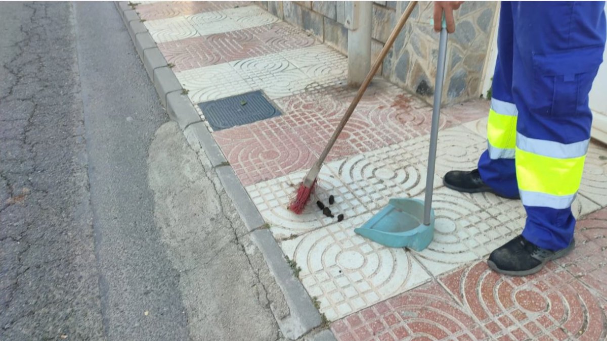Operario retirando excrementos de la vía pública en una imagen de archivo.