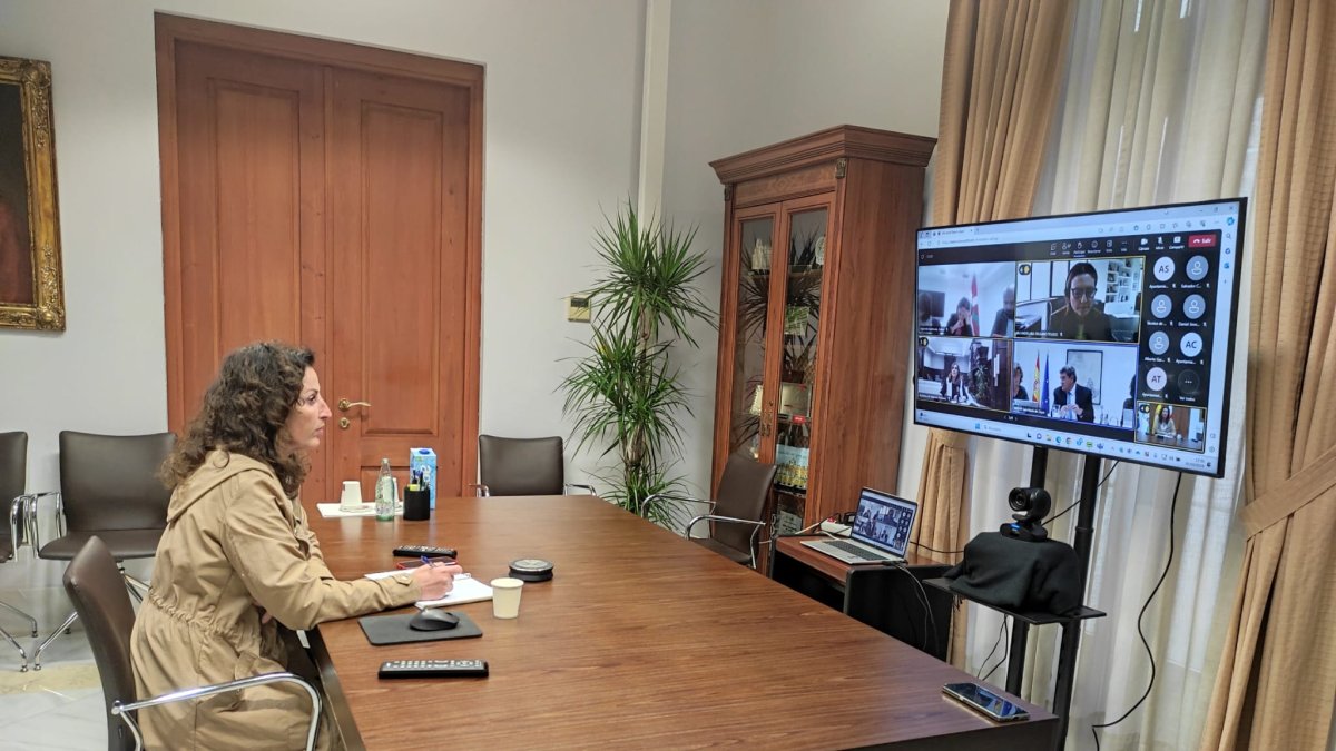 María del Mar Vázquez durante el encuentro telemático con Escrivá