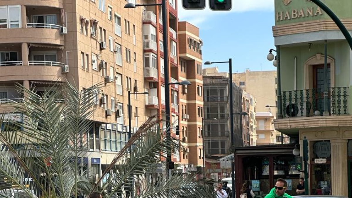 La palmera caída en Avenida Cabo de Gata. Foto: Francisco G. Luque.