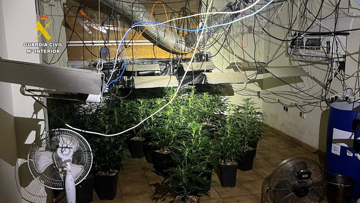 Interior de una de las viviendas registradas.