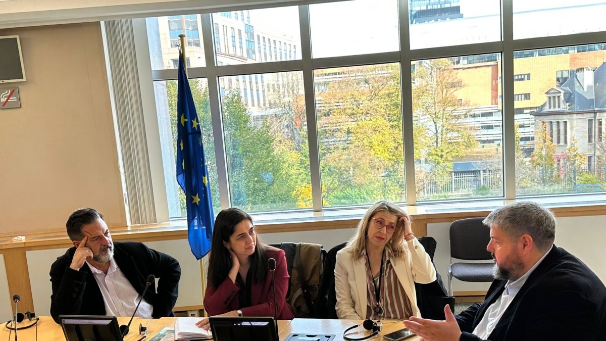 Imagen de la reunión con el comisario de Empleo y Asuntos Sociales, Nicolas Schmidt.