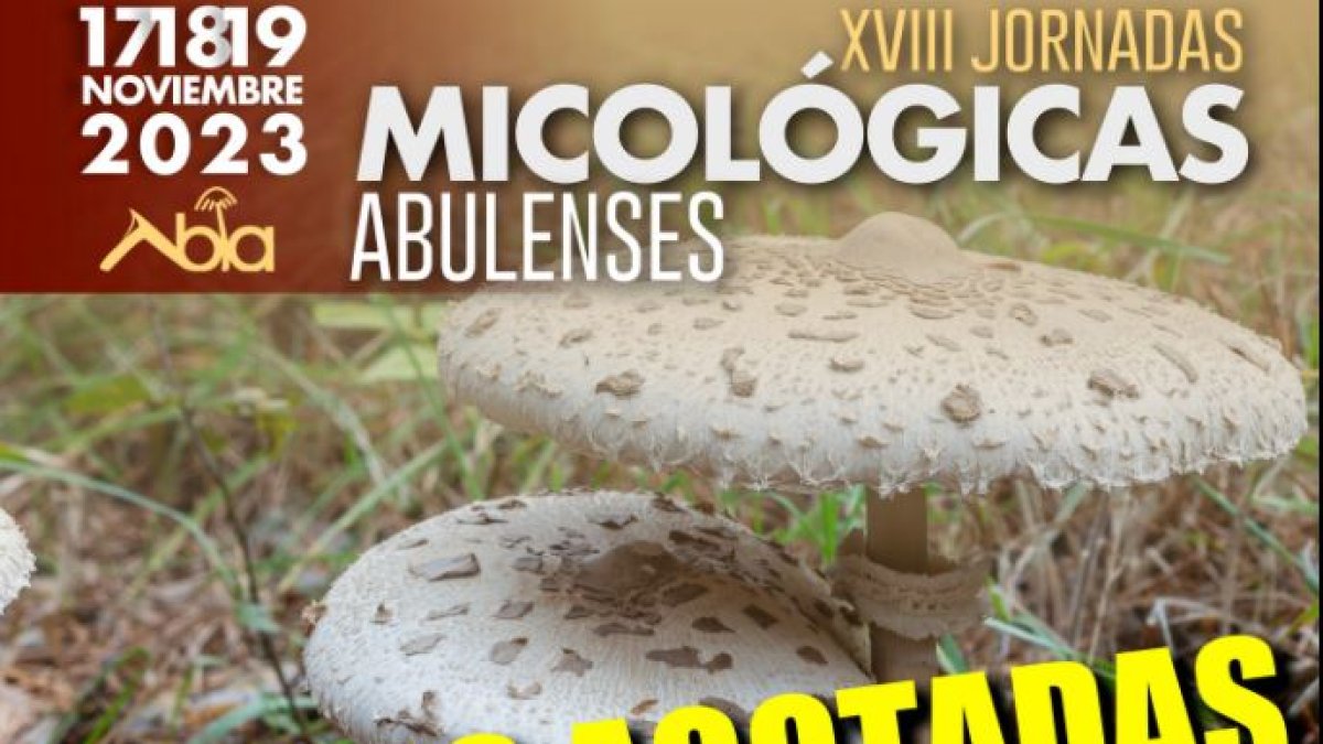 Cartel de las jornadas tras agotar las plazas.