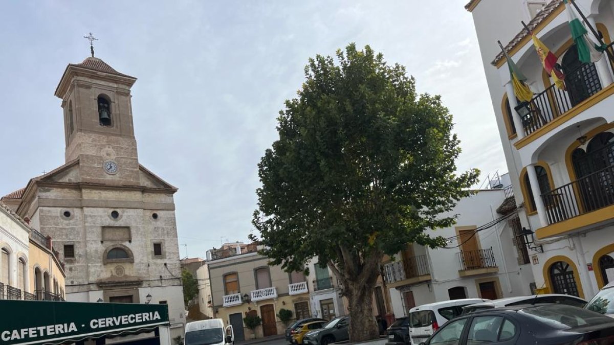 Imagen del municipio de Alhabia.