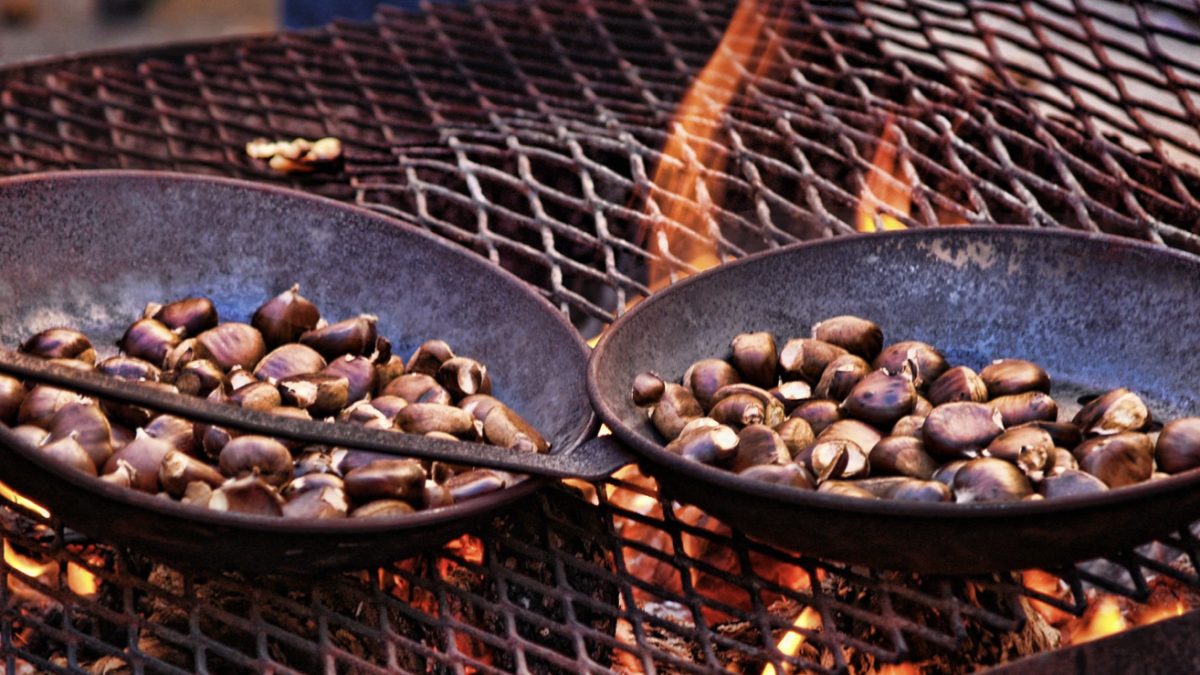 Propiedades y beneficios para la salud