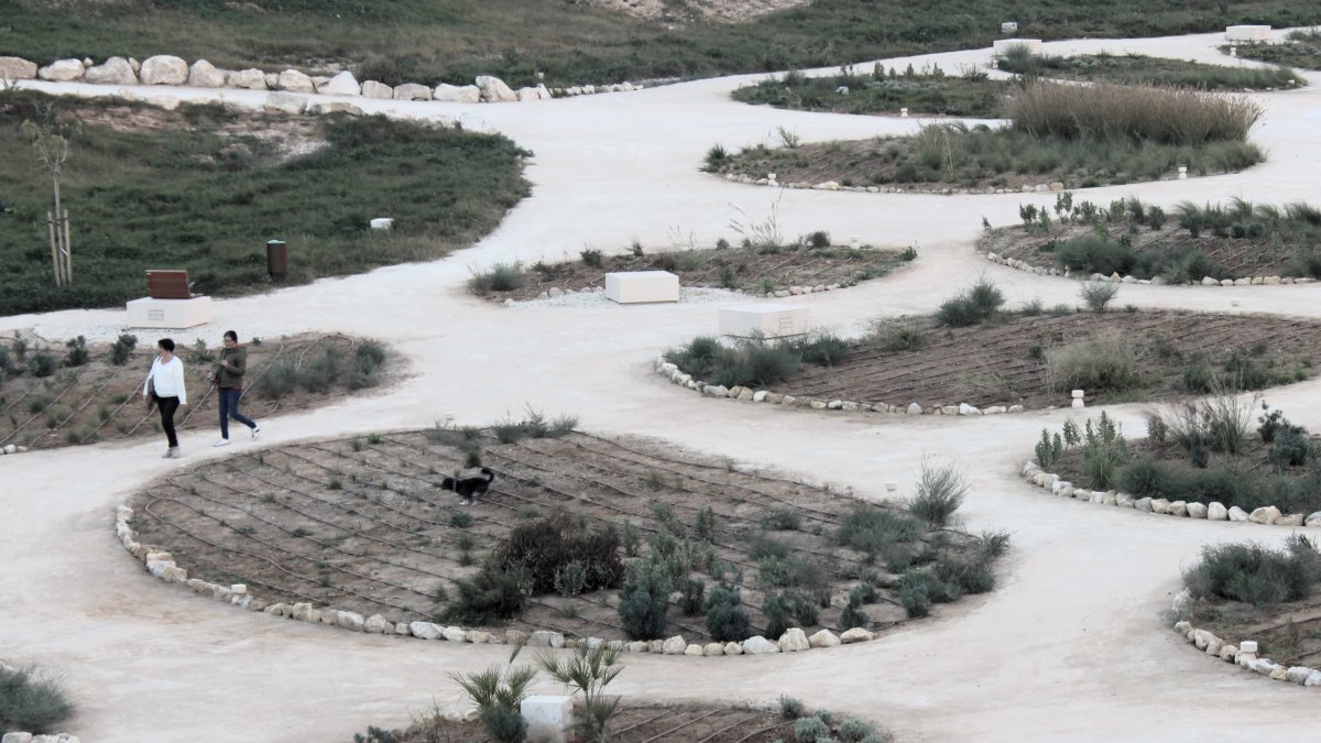 Un perro haciendo sus necesidades en una de las jardineras de La Hoya.