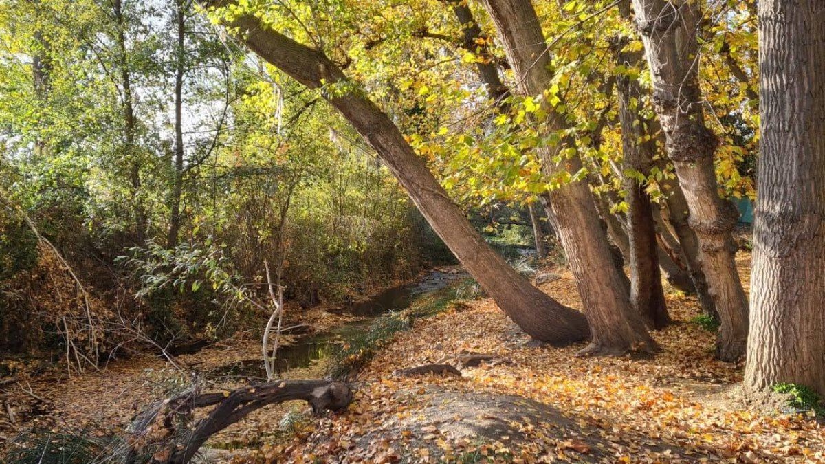 Foto de un punto del sendero de Joaquín Gaona.
