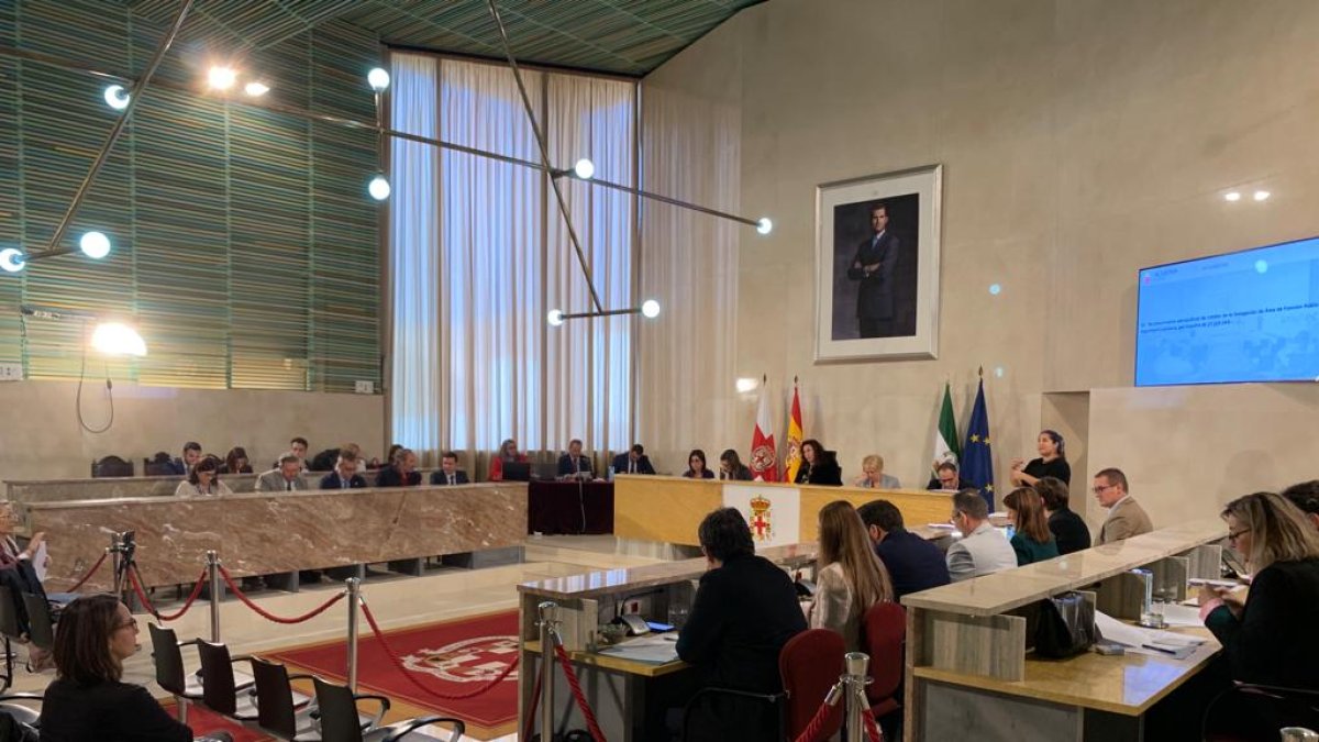 Vista general de la sesión plenaria