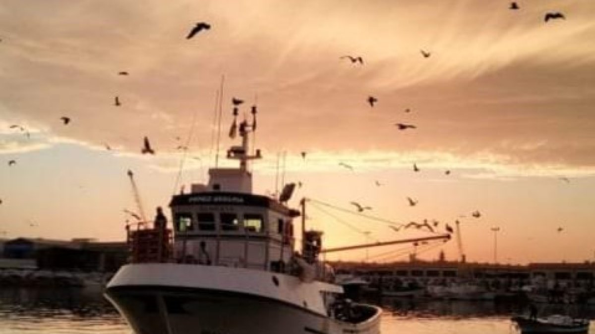 Imagen que ilustra el cartel de la exposición.