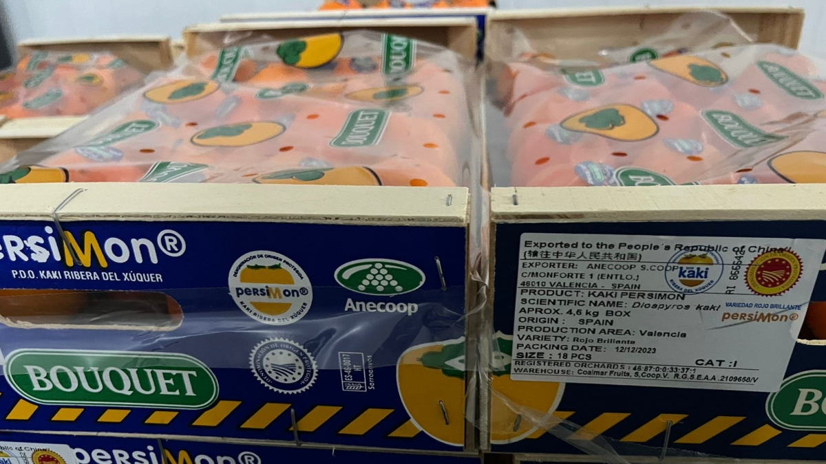 Kaki Persimon Bouquet a China