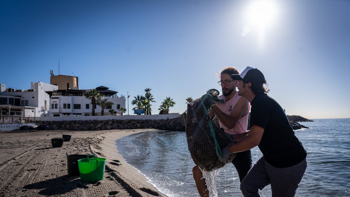 Los voluntarios sacan del agua restos de basura.