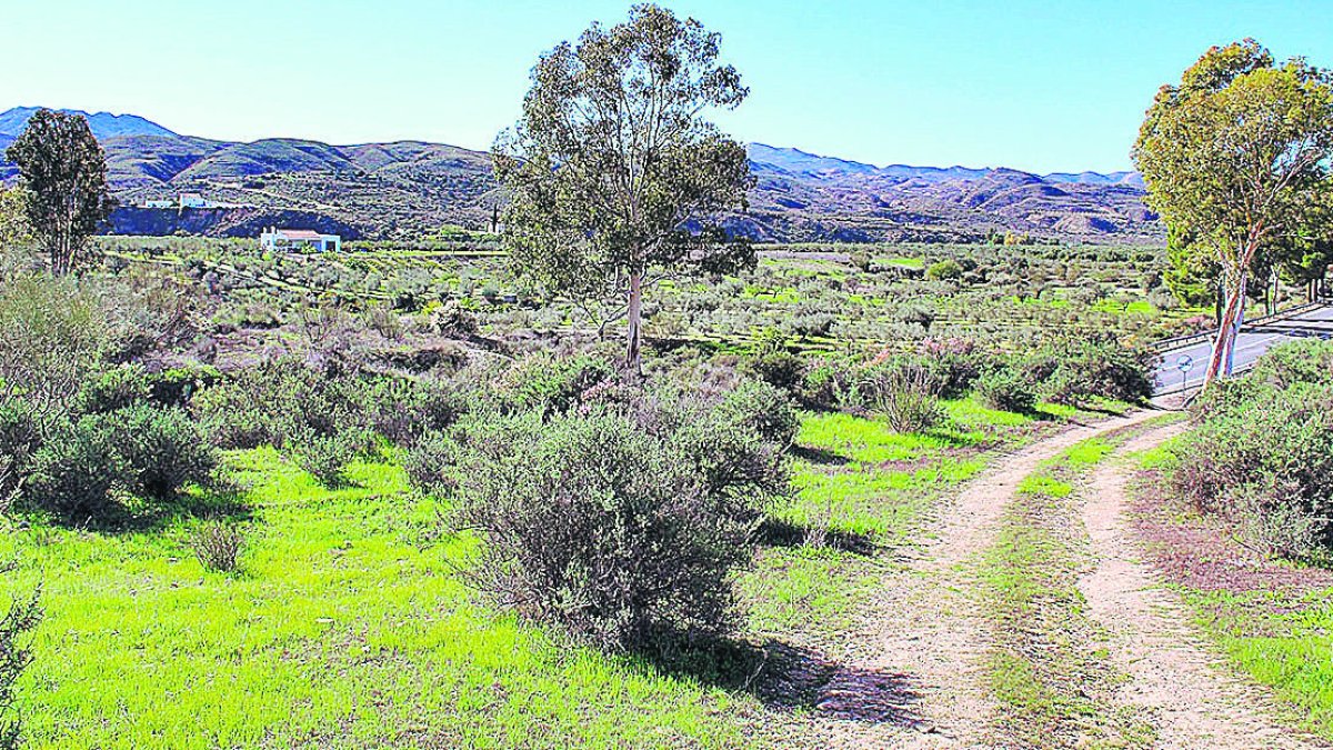Casi la mitad de cambios de titularidad son herencias.