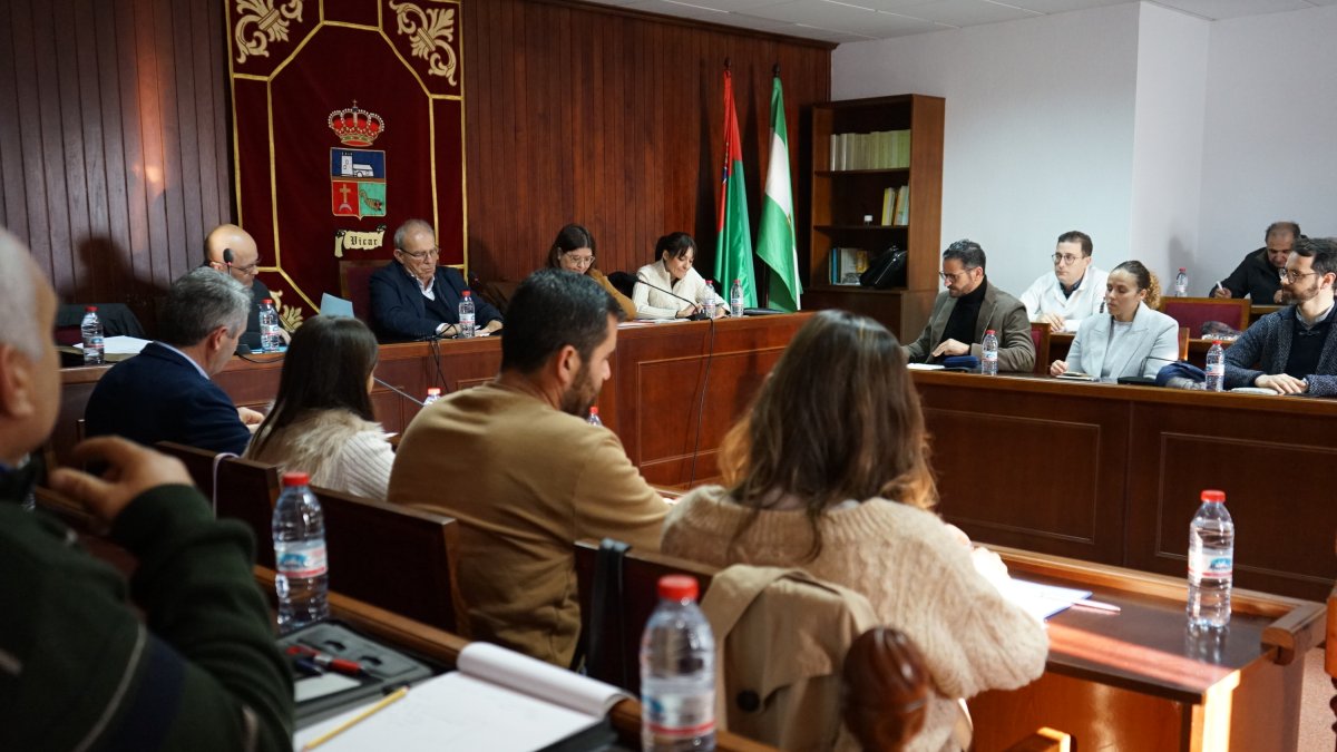 Un momento del último pleno del año en Vícar.