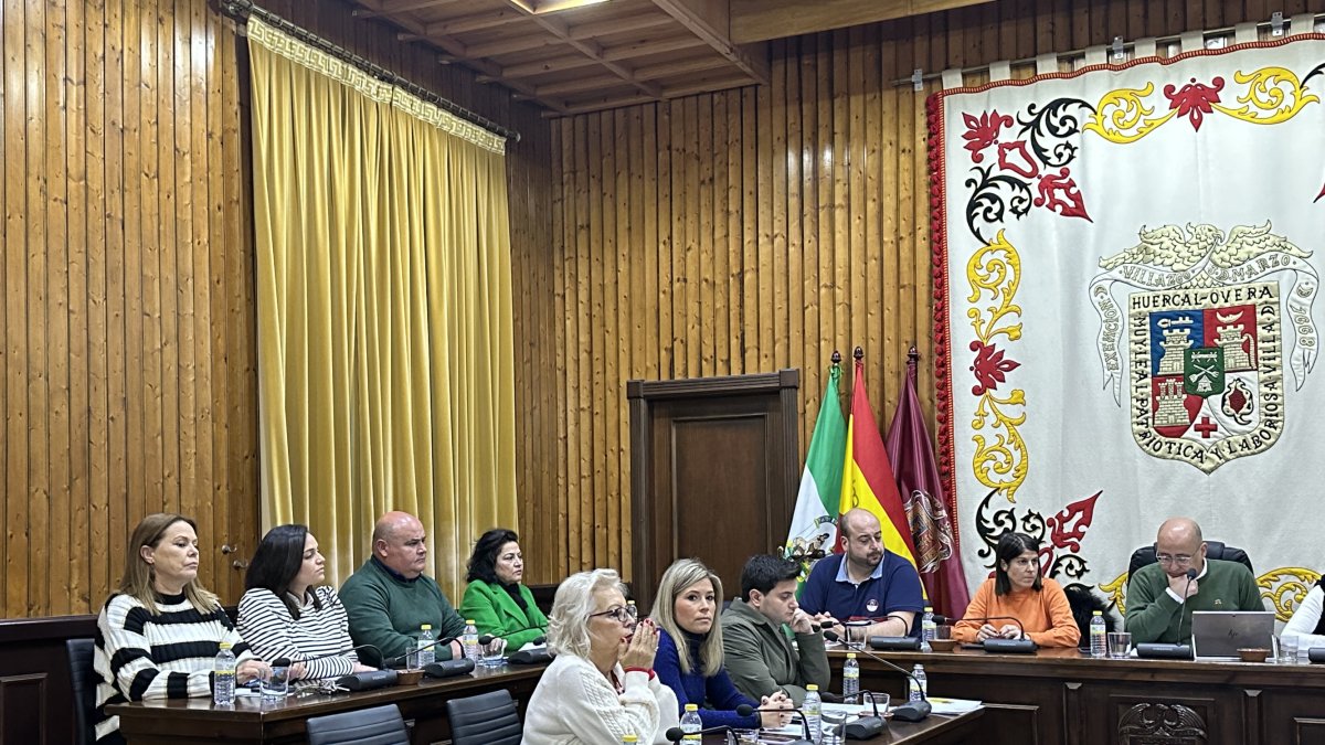 Imagen del Pleno de este viernes.