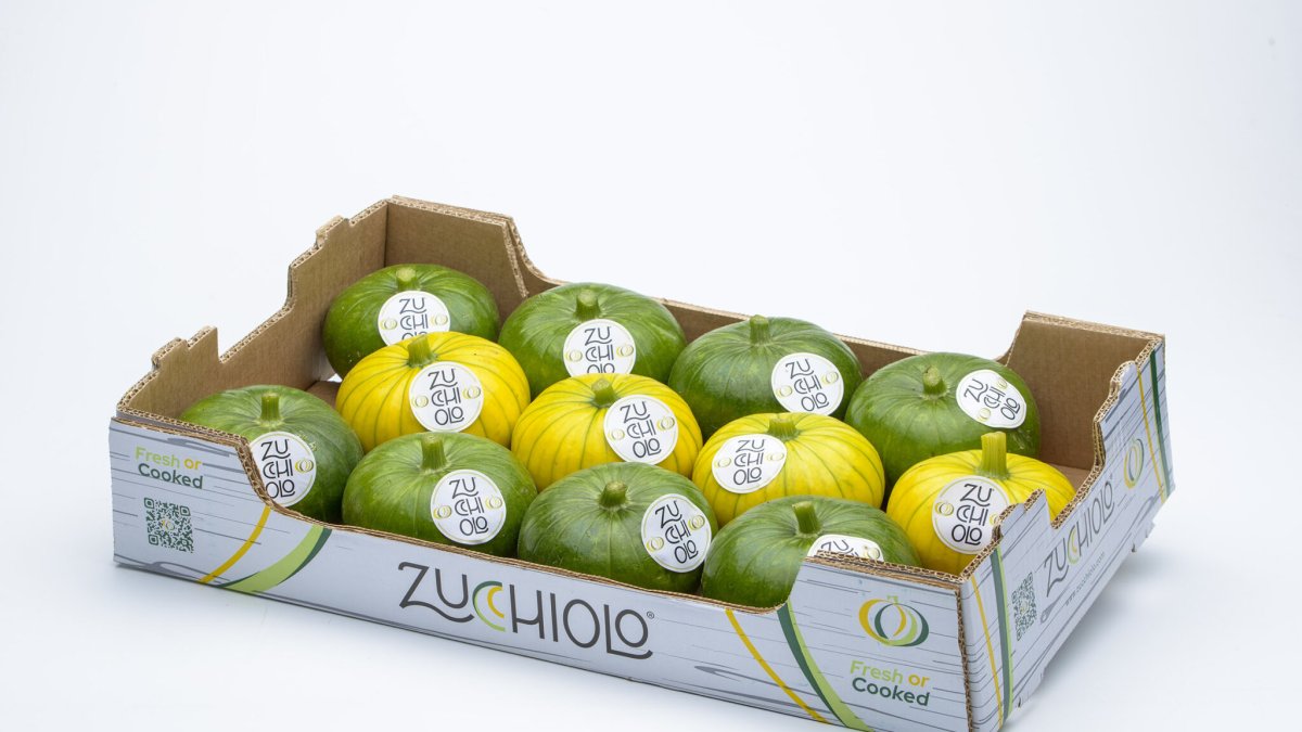 El Zucchiolo, innovación agrícola almeriense