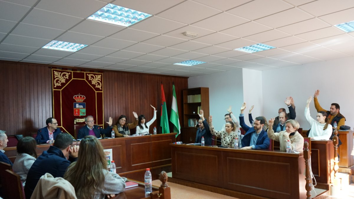 Votación a favor de los presupuestos de 2024 en el Pleno de Vícar.