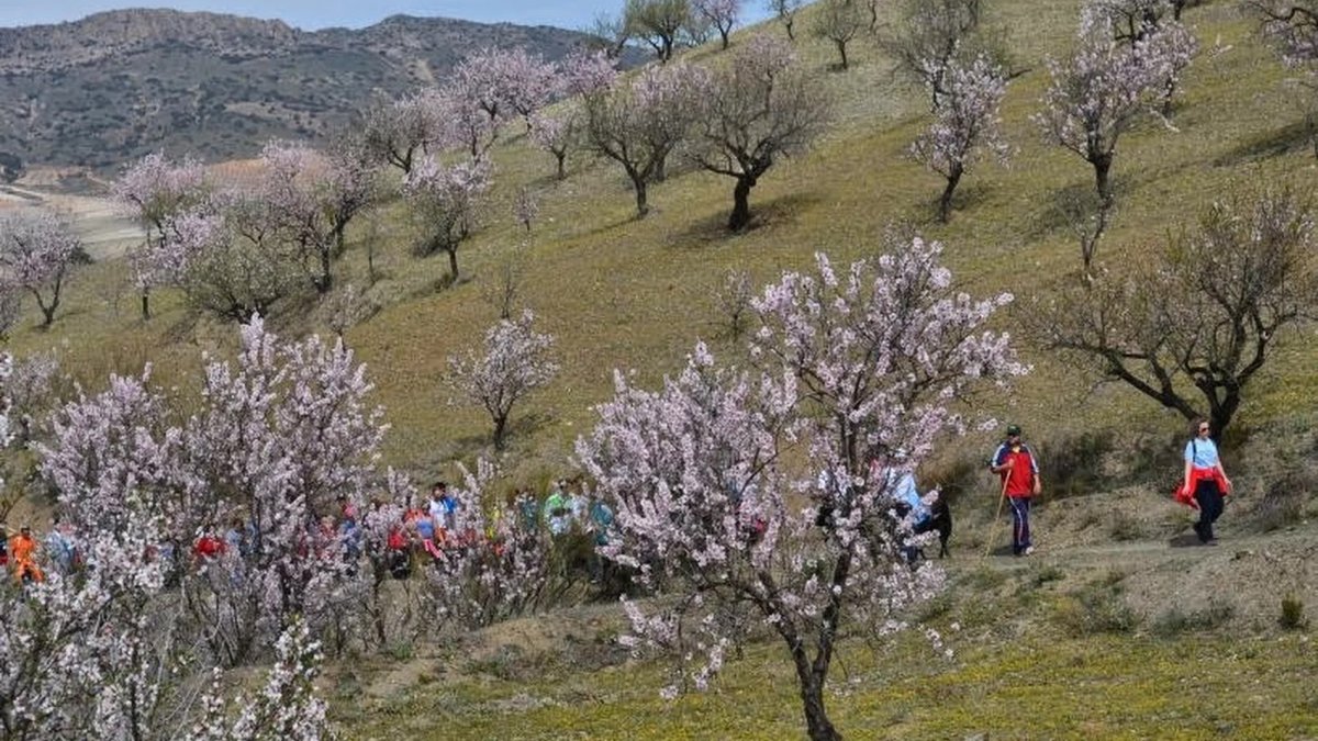 Imagen de archivo de una ruta anterior de la ruta senderista.