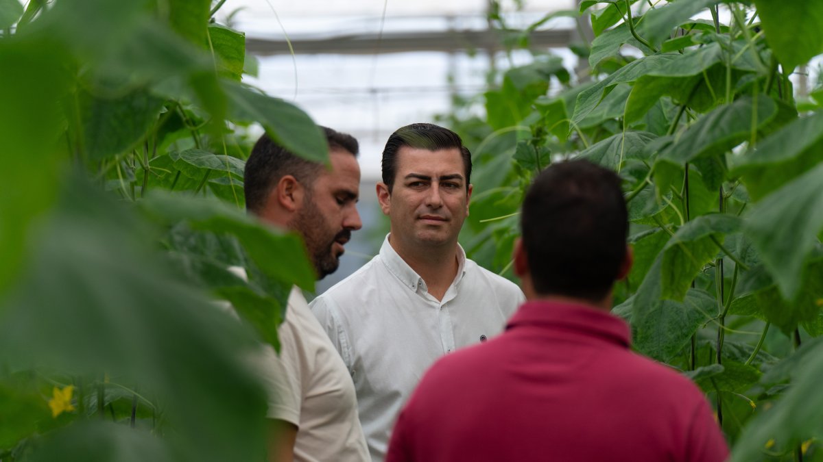 José Francisco Garrido en un invernadero nijareño.