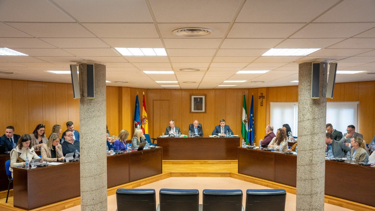 Un momento del pleno.