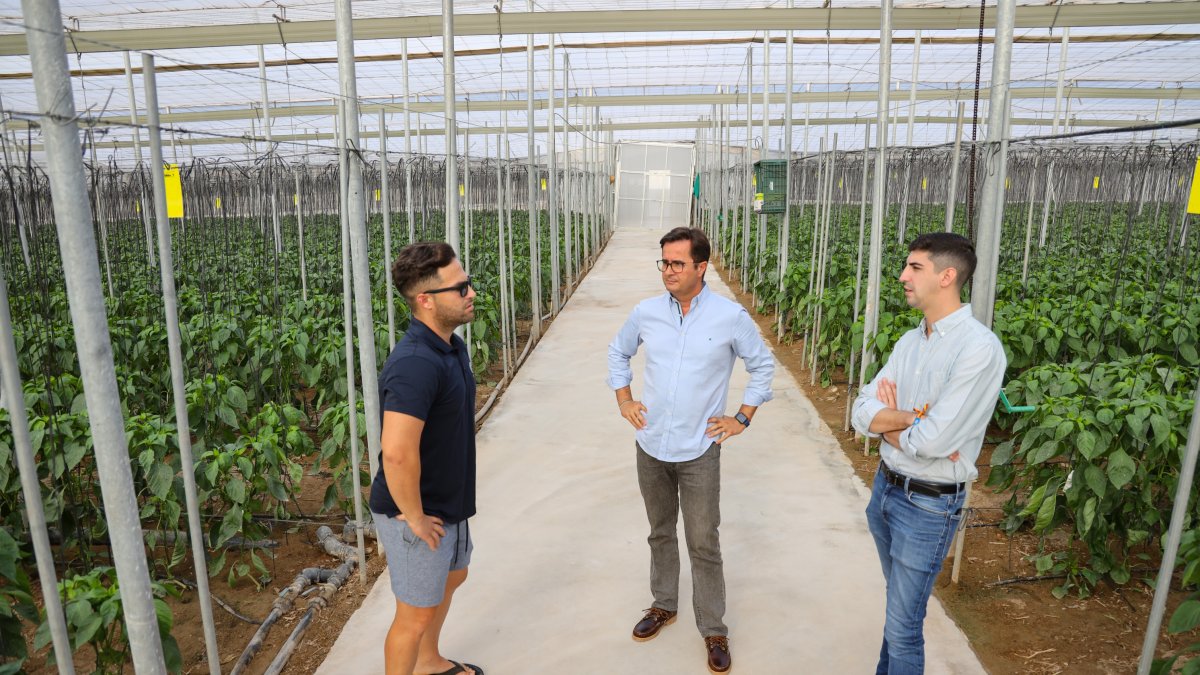 El alcalde de El Ejido, Francisco Góngora, y el concejal de Agricultura y Medio Ambiente, Manuel Martínez, con un agricultor ejidense.