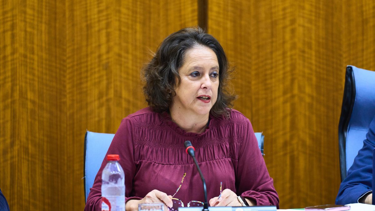 El consejero de Salud, Catalina García, en la comisión parlamentaria del 14 de febrero de 2024.