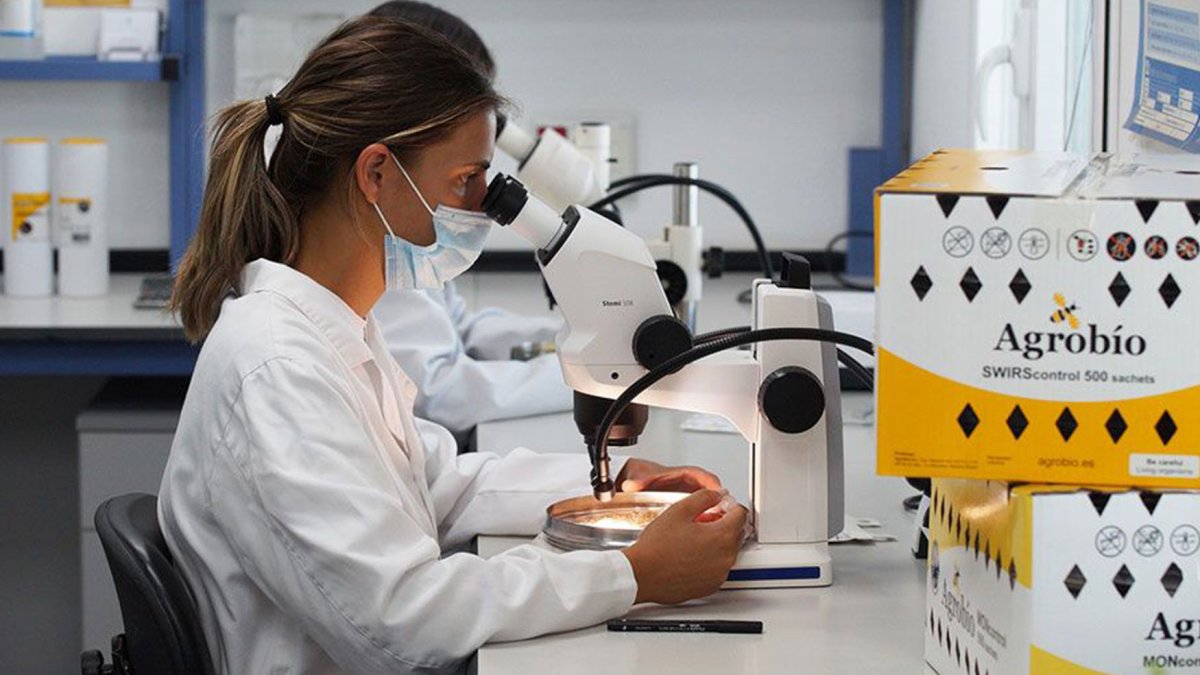 Controles de calidad de los insectos beneficiosos.