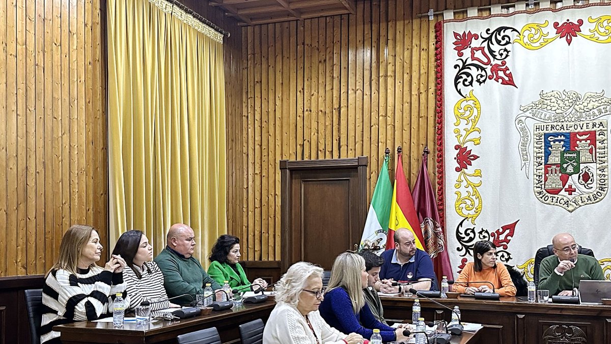 Archivo de Sesión Plenaria en Huércal-Overa.