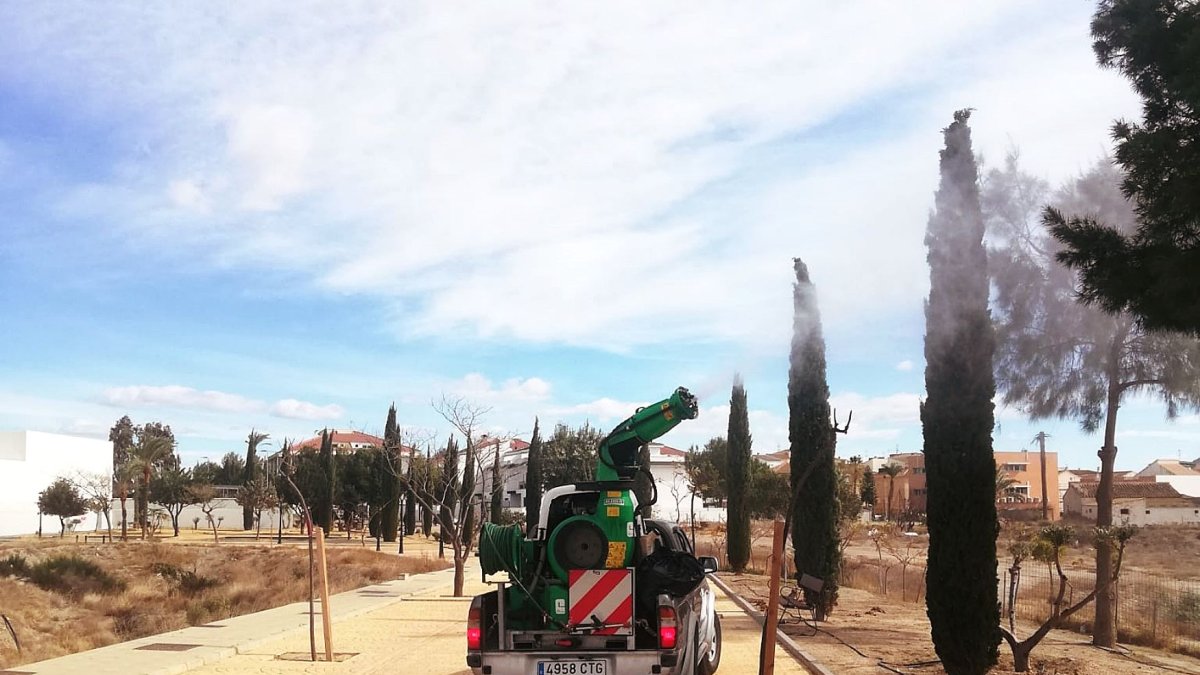 Huércal-Overa comienza su lucha contra la procesionaria y fumiga sus zonas verdes.