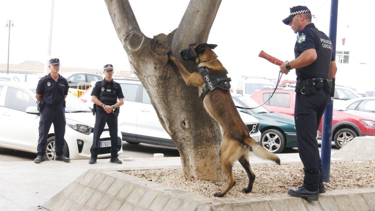 El perro policía de Adra durante una demostración en una imagen de archivo.