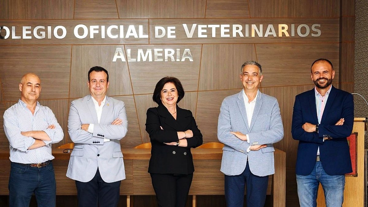 Junta de Gobierno del Colegio de Veterinarios.