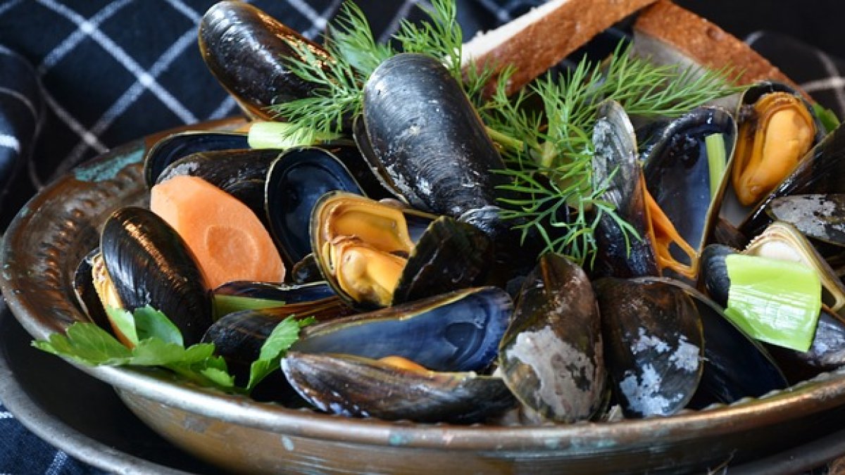 Mejillones al vapor.