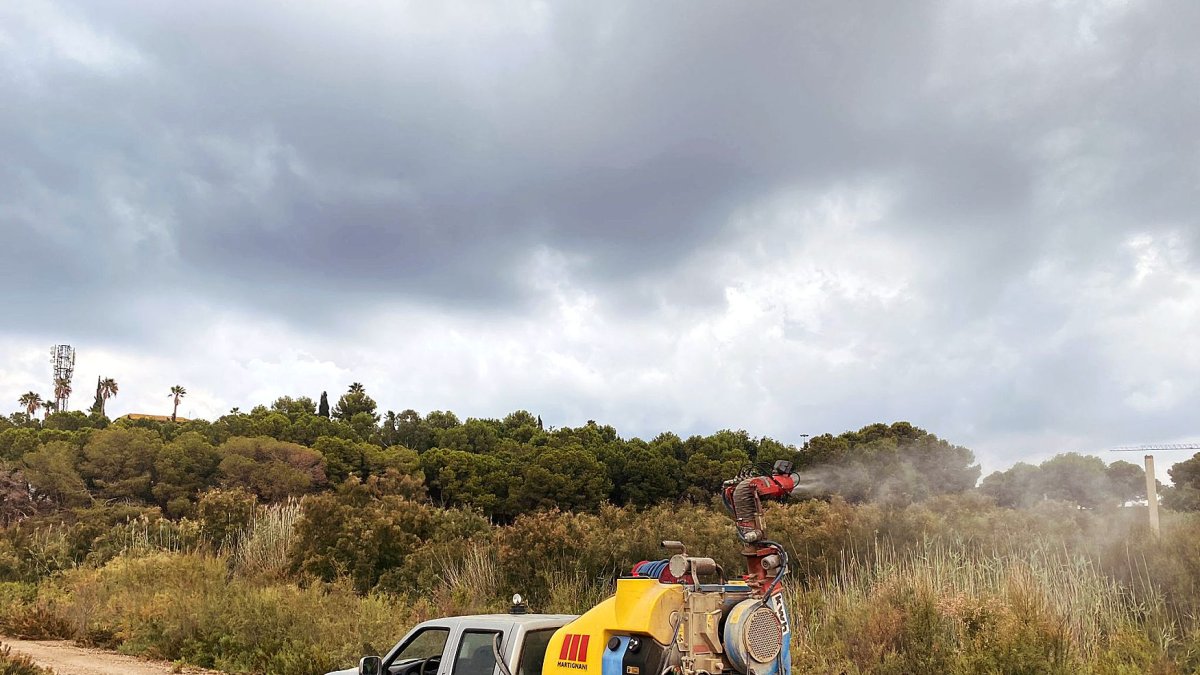 Vera arranca la lucha contra los mosquitos en su fase larvaria.