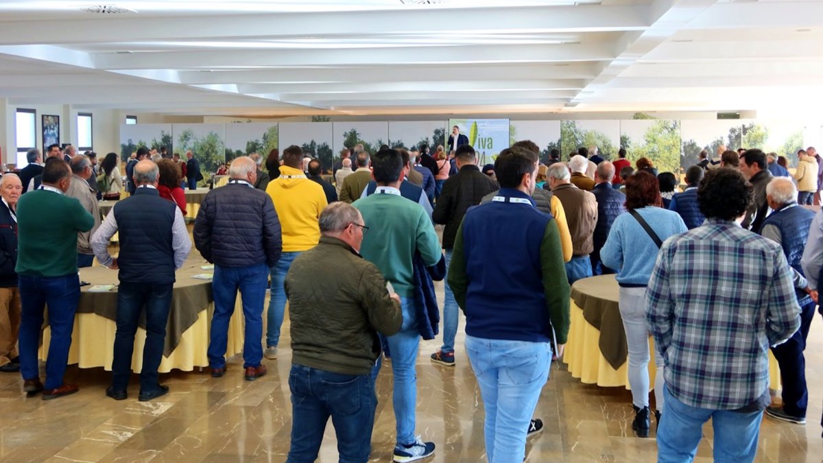 Recepción Foro del Olivar