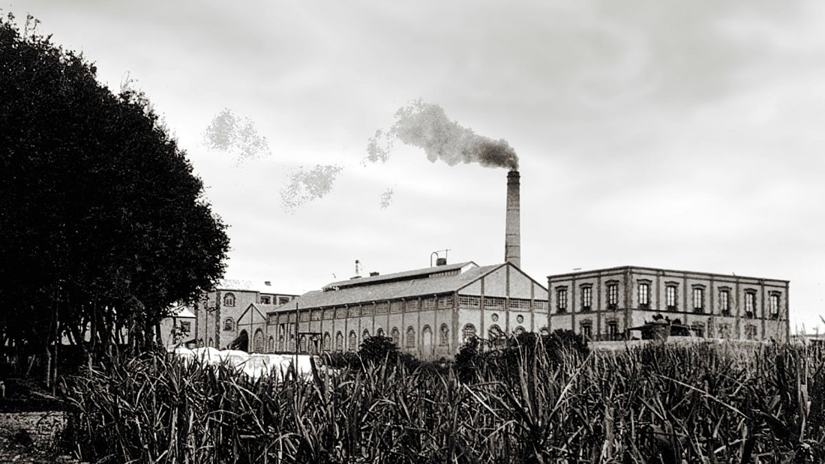 La Fábrica Azucarera de Adra en todo su esplendor y funcionamiento. Colección de Andrés Aguilera París.